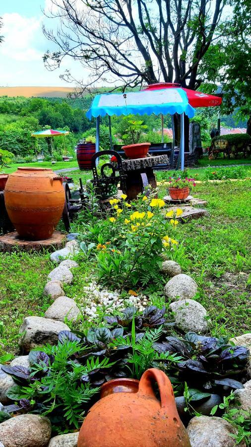 Guest House Kosharite Byala  Екстер'єр фото